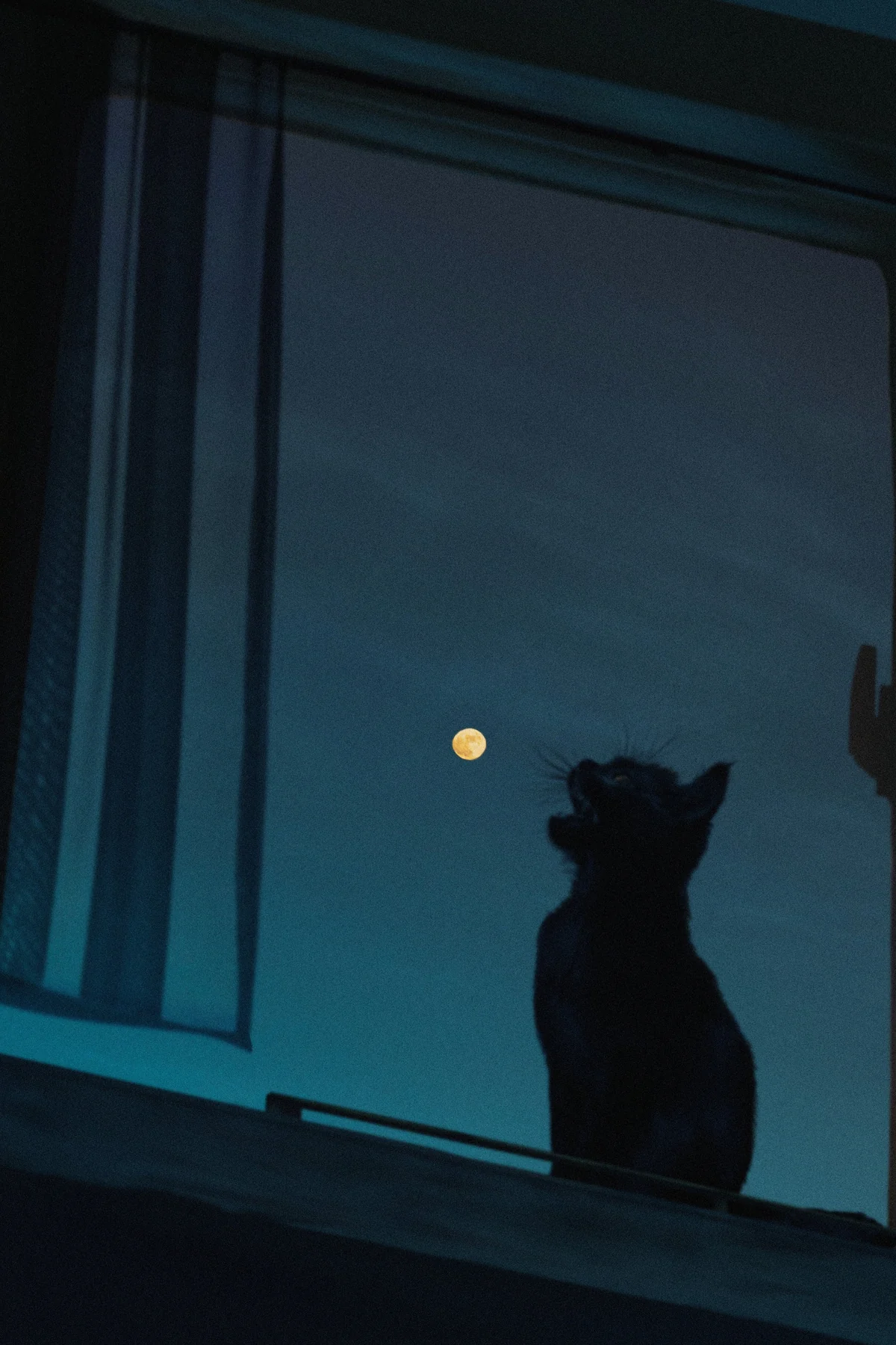 を。 作品 03
